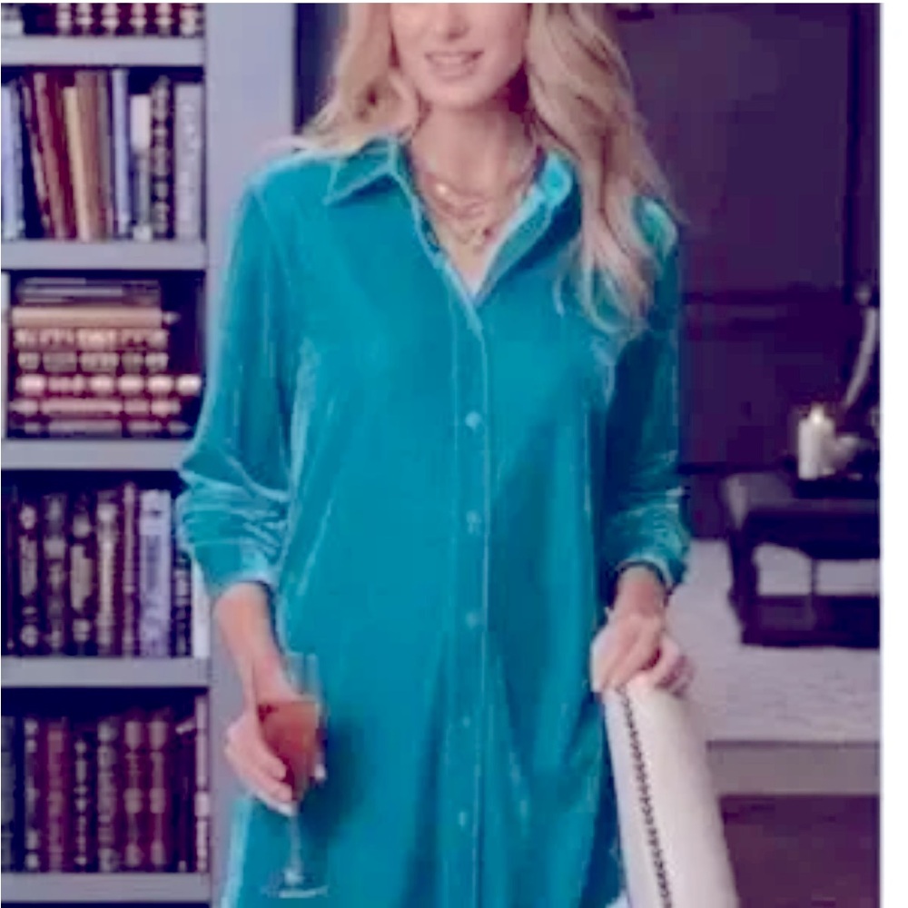 NWT Soft Surroundings Velvet Boyfriend Tunic Button Shirt L Turquoise